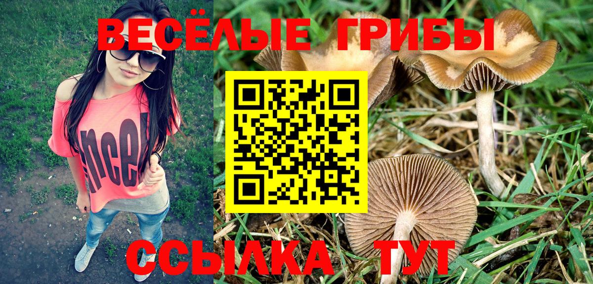 купить  сайты  Вход с VPN  Орёл  Псилоцибиновые грибы Psilocybine cubensis 